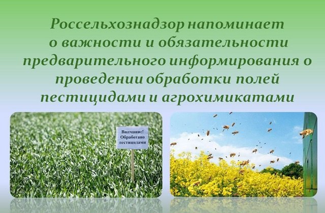 Аграрии должны информировать пчеловодов о сроках обработки полей агрохимикатами 