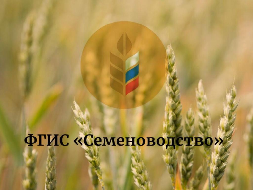 Работа во ФГИС «Семеноводство» стала обязательной для всех участников рынка семян сельскохозяйственных растений
