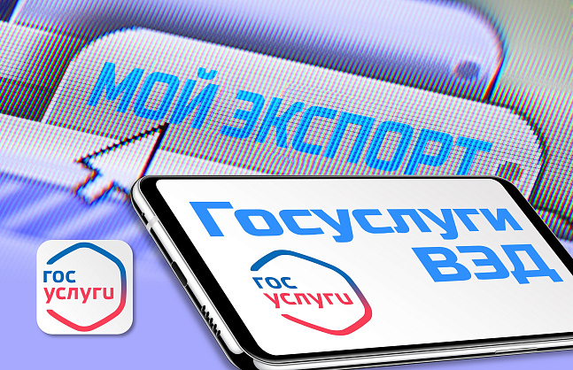 Минцифры и РЭЦ объединяют свои сервисы для поддержки экспортеров
