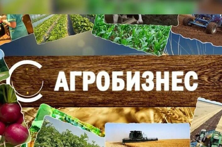 Новые возможности для малого агробизнеса в 2026 году